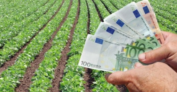 ДФЗ изплати над 1,4 млрд. лева в помощ на българското земеделие за първите шест месеца на годината